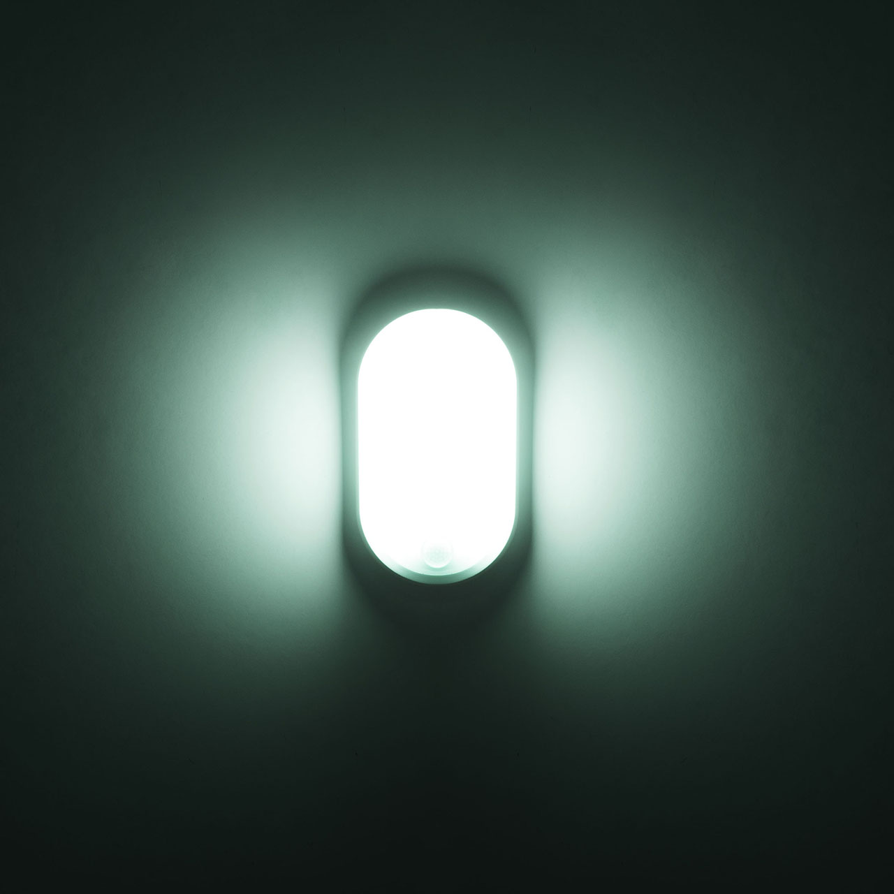 moo oval px-0699-bla