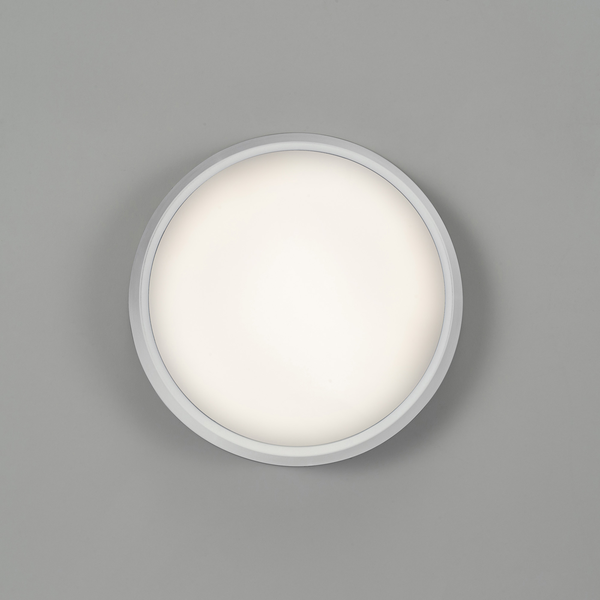 moo round px-0701-bla